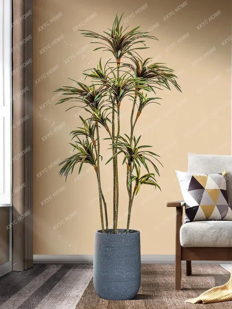 シミュレーションドラセナ ドラセナマリナータ グリーンプラン - Dracaena Marginata のレビューと価格