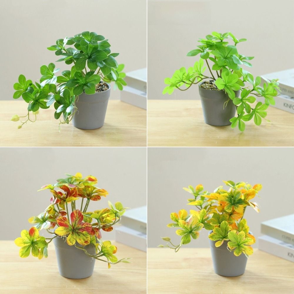 盆栽 人工盆栽植物 人工スパイダープランツ ポット付き フェ - Spider Plant Hanging のレビューと価格