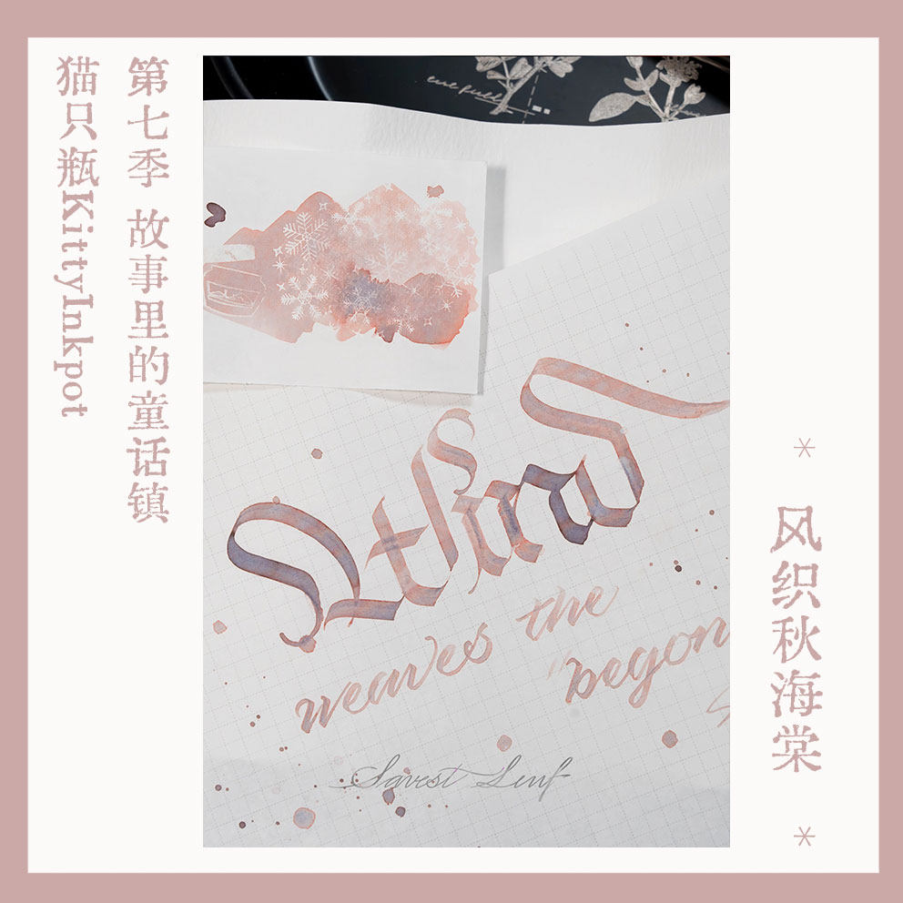 KittyInkpot ベゴニアレックスカラー 5/35 ミ - Begonia Rex のレビューと価格