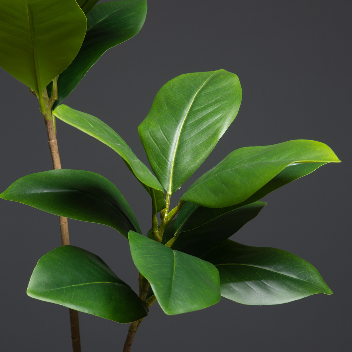 105 センチメートル 2 フォーク大型人工植物偽マグノリア - Dracaena Marginata のレビューと価格